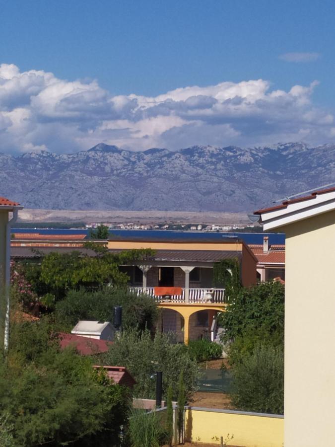 Apartmani Vjeko Vir Esterno foto