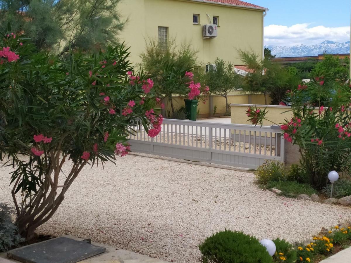 Apartmani Vjeko Vir Esterno foto